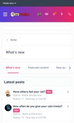 Cats forum.